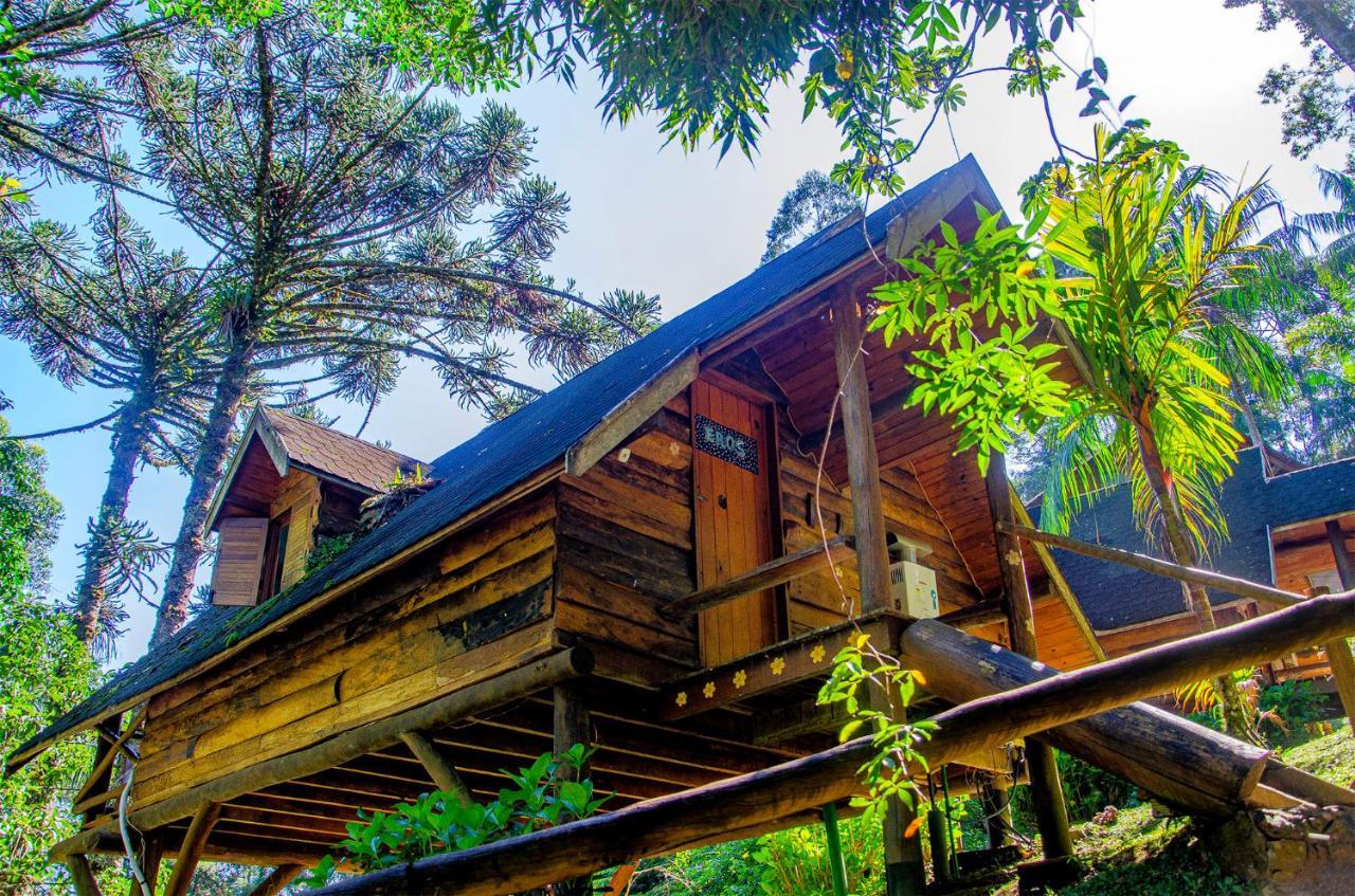 Pousada Rancho Das Framboesas วิสกอนจิ จิ เมาอา ภายนอก รูปภาพ