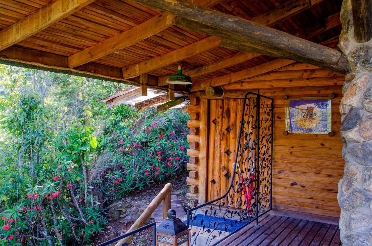 Pousada Rancho Das Framboesas วิสกอนจิ จิ เมาอา ภายนอก รูปภาพ